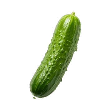 OKURKA